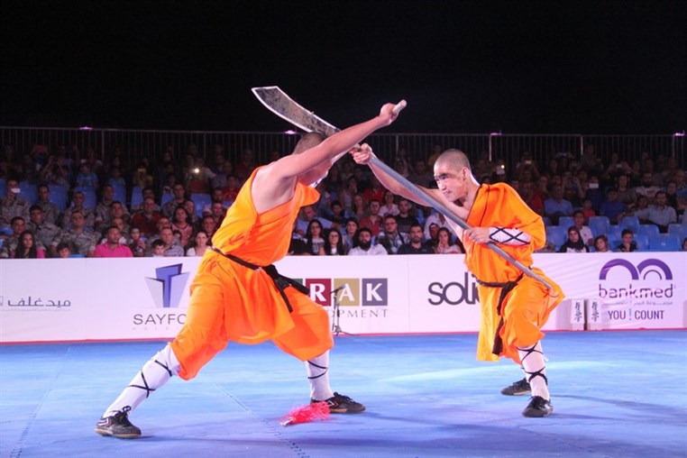 Martial Arts Festival
